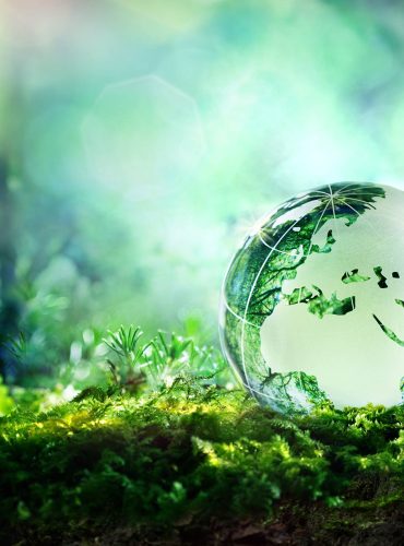 sustainability-istock-473558826 sustainability-istock-473558826